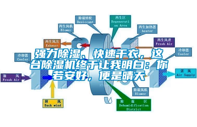 強(qiáng)力除濕、快速干衣，這臺(tái)除濕機(jī)終于讓我明白：你若安好，便是晴天