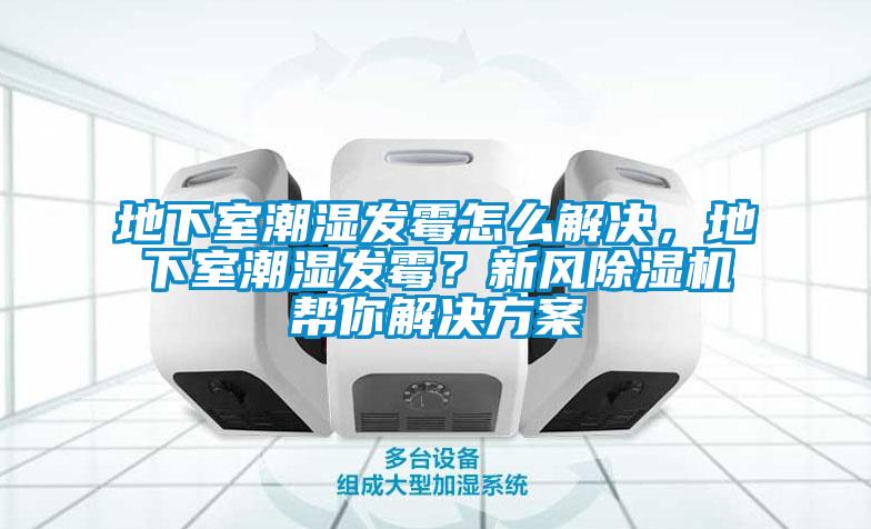 地下室潮濕發霉怎么解決，地下室潮濕發霉？新風除濕機幫你解決方案