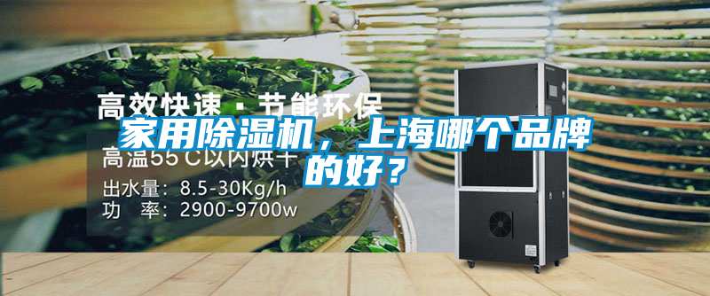 家用除濕機，上海哪個品牌的好？