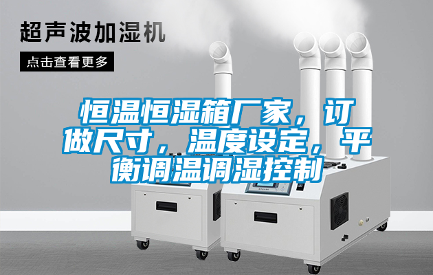 恒溫恒濕箱廠家，訂做尺寸，溫度設定，平衡調溫調濕控制