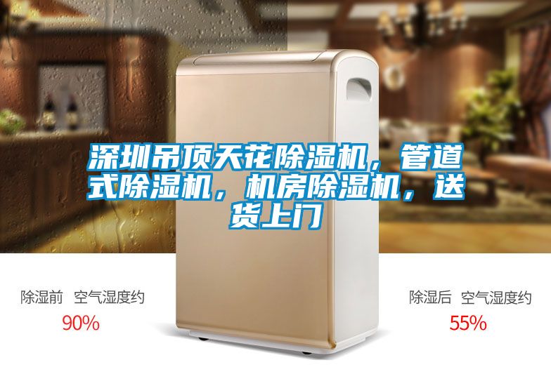 深圳吊頂天花除濕機(jī)，管道式除濕機(jī)，機(jī)房除濕機(jī)，送貨上門