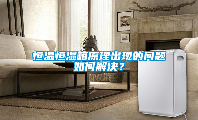 恒溫恒濕箱原理出現的問題如何解決？
