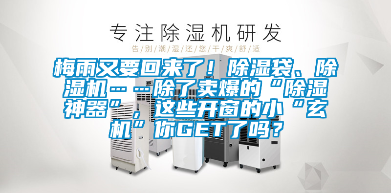 梅雨又要回來了！除濕袋、除濕機……除了賣爆的“除濕神器”，這些開窗的小“玄機”你GET了嗎？
