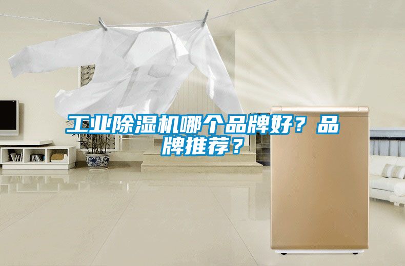 工業除濕機哪個品牌好？品牌推薦？