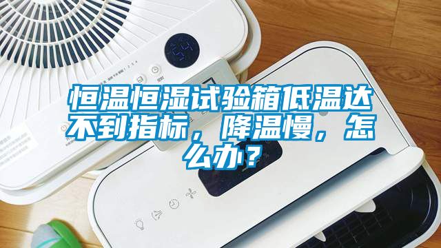 恒溫恒濕試驗箱低溫達不到指標(biāo)，降溫慢，怎么辦？