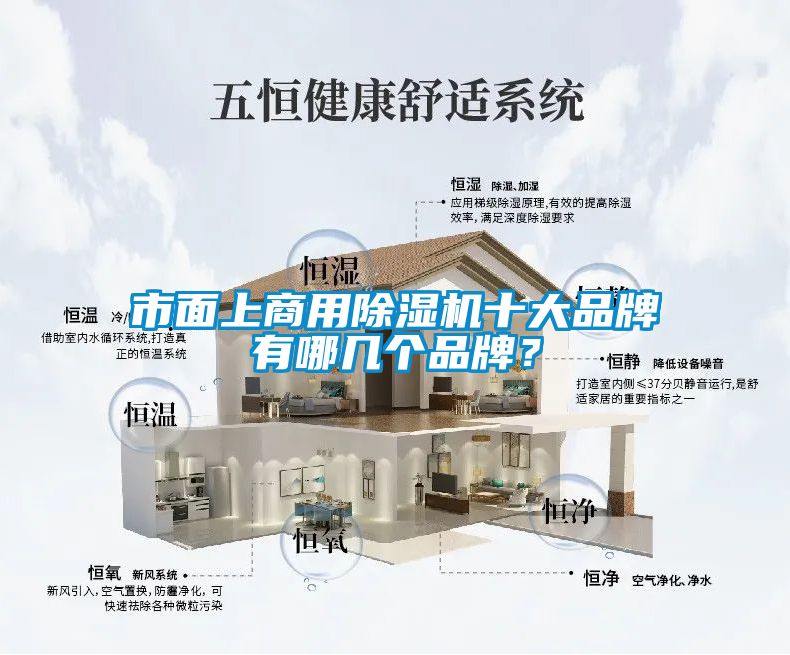 市面上商用除濕機十大品牌有哪幾個品牌？