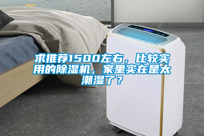 求推薦1500左右，比較實用的除濕機，家里實在是太潮濕了？