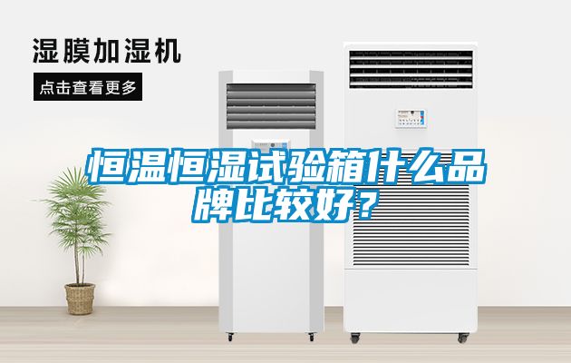 恒溫恒濕試驗箱什么品牌比較好？