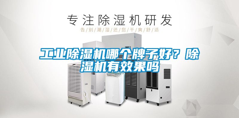 工業除濕機哪個牌子好？除濕機有效果嗎