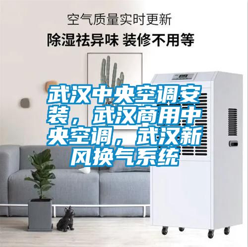 武漢中央空調安裝，武漢商用中央空調，武漢新風換氣系統