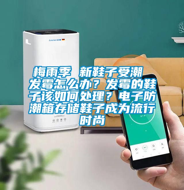 梅雨季 新鞋子受潮 發霉怎么辦？發霉的鞋子該如何處理？電子防潮箱存儲鞋子成為流行時尚