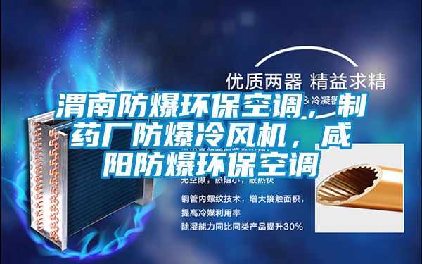 渭南防爆環?？照{，制藥廠防爆冷風機，咸陽防爆環?？照{