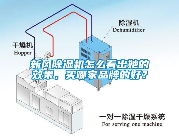 新風除濕機怎么看出她的效果，買哪家品牌的好？