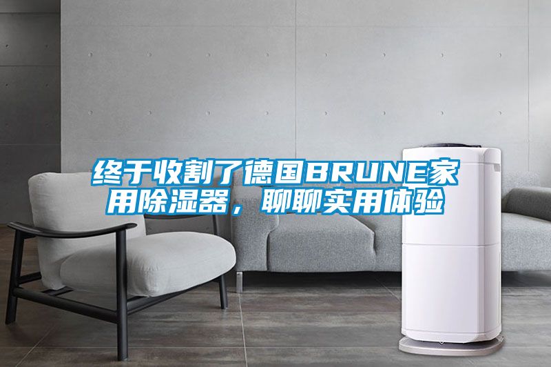終于收割了德國BRUNE家用除濕器，聊聊實用體驗
