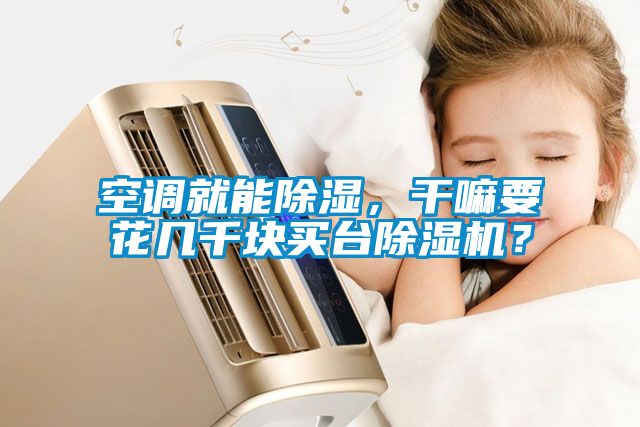 空調就能除濕，干嘛要花幾千塊買臺除濕機？