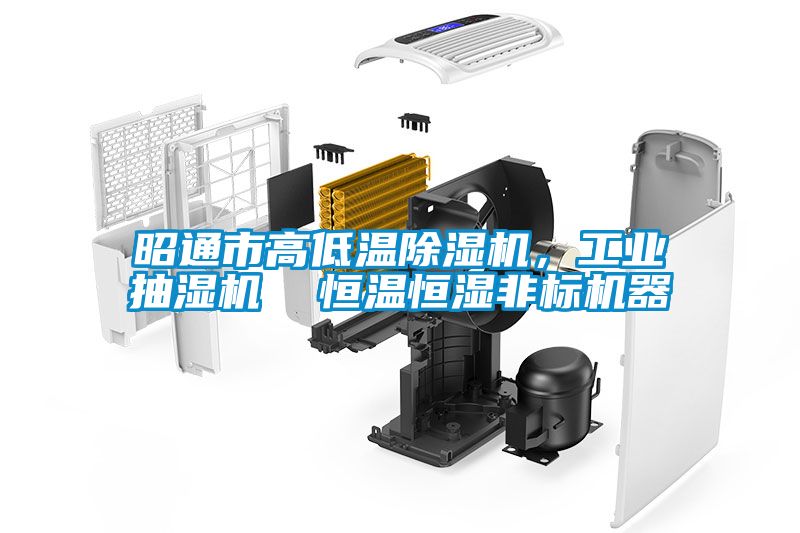 昭通市高低溫除濕機，工業抽濕機  恒溫恒濕非標機器