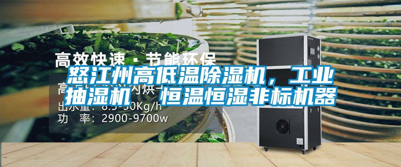怒江州高低溫除濕機(jī)，工業(yè)抽濕機(jī)  恒溫恒濕非標(biāo)機(jī)器