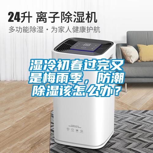 濕冷初春過完又是梅雨季，防潮除濕該怎么辦？