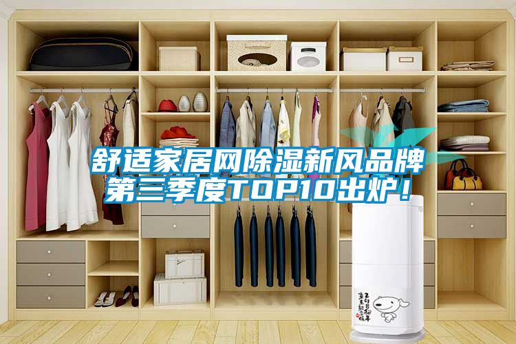 舒適家居網(wǎng)除濕新風品牌第三季度TOP10出爐！