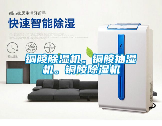 銅陵除濕機。銅陵抽濕機。銅陵除濕機