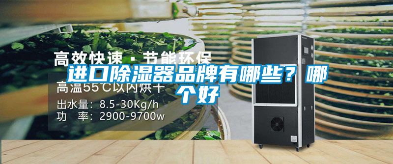 進口除濕器品牌有哪些？哪個好