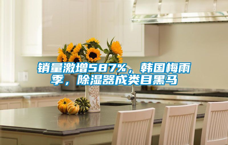 銷量激增587%，韓國梅雨季，除濕器成類目黑馬