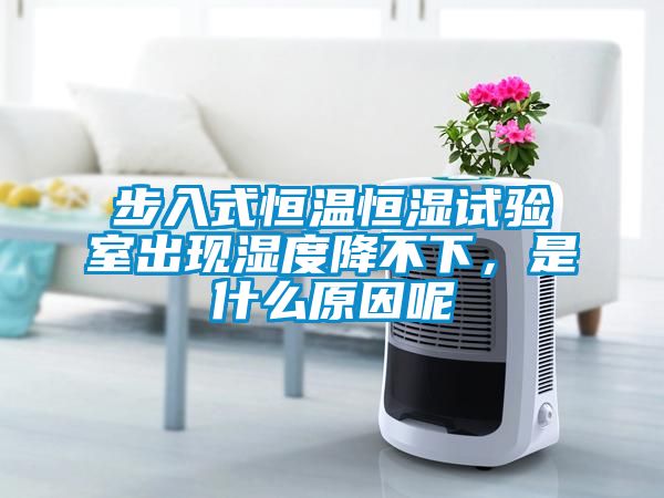 步入式恒溫恒濕試驗(yàn)室出現(xiàn)濕度降不下，是什么原因呢