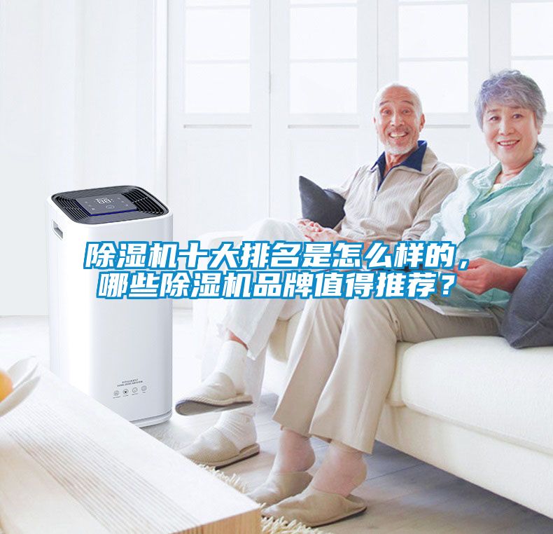 除濕機十大排名是怎么樣的，哪些除濕機品牌值得推薦？