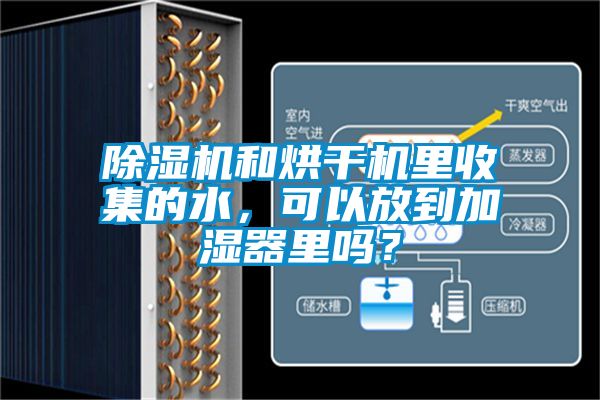 除濕機(jī)和烘干機(jī)里收集的水，可以放到加濕器里嗎？