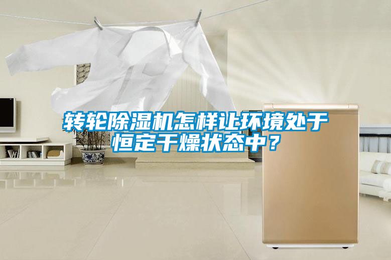 轉(zhuǎn)輪除濕機(jī)怎樣讓環(huán)境處于恒定干燥狀態(tài)中？