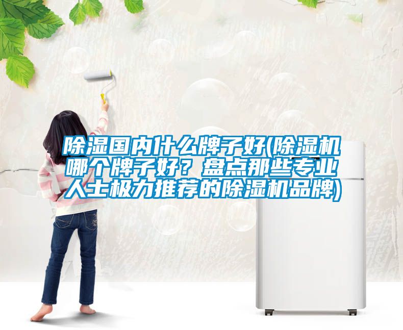 除濕國內(nèi)什么牌子好(除濕機(jī)哪個牌子好？盤點那些專業(yè)人士極力推薦的除濕機(jī)品牌)