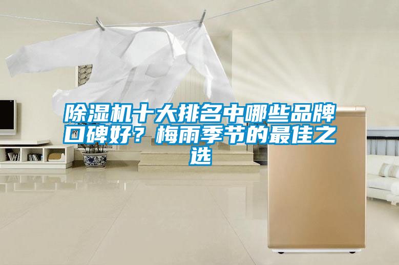 除濕機十大排名中哪些品牌口碑好？梅雨季節的最佳之選