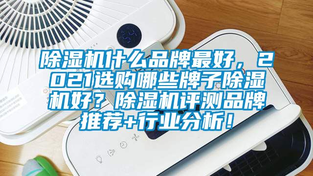 除濕機(jī)什么品牌最好，2021選購哪些牌子除濕機(jī)好？除濕機(jī)評測品牌推薦+行業(yè)分析！