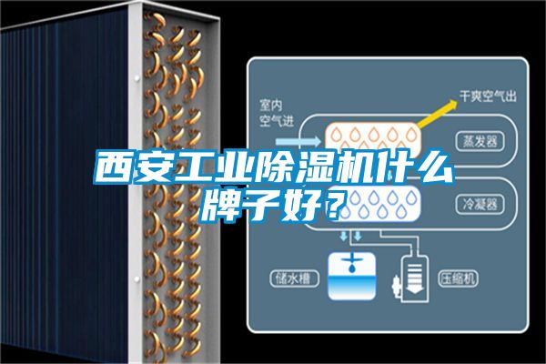 西安工業除濕機什么牌子好？