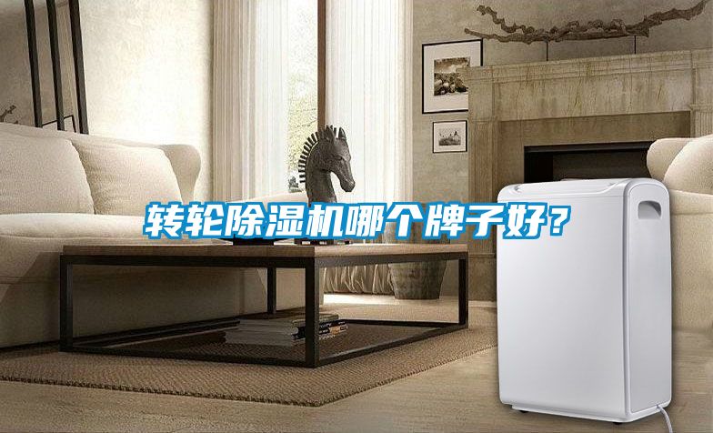 轉(zhuǎn)輪除濕機(jī)哪個(gè)牌子好？
