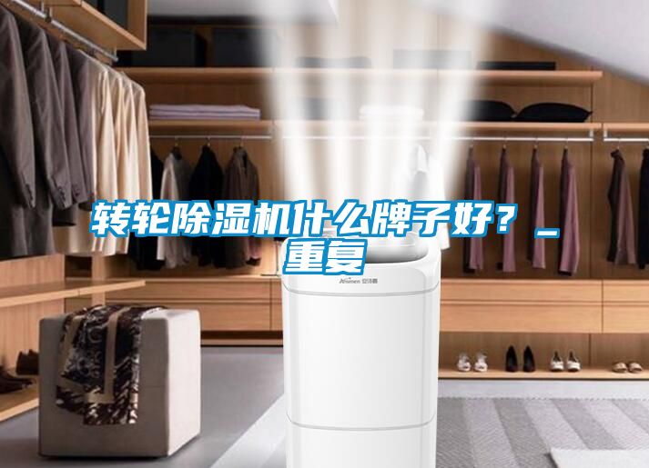 轉輪除濕機什么牌子好？_重復