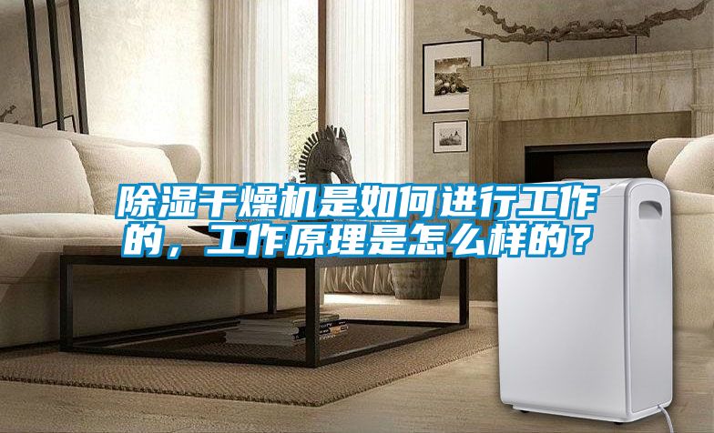 除濕干燥機是如何進行工作的，工作原理是怎么樣的？