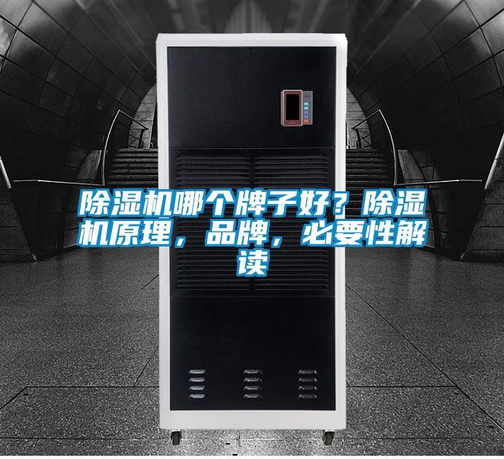 除濕機(jī)哪個牌子好？除濕機(jī)原理，品牌，必要性解讀