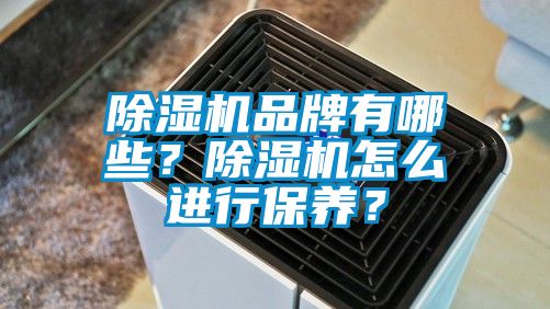 除濕機品牌有哪些？除濕機怎么進行保養(yǎng)？