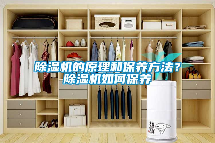 除濕機的原理和保養方法？除濕機如何保養
