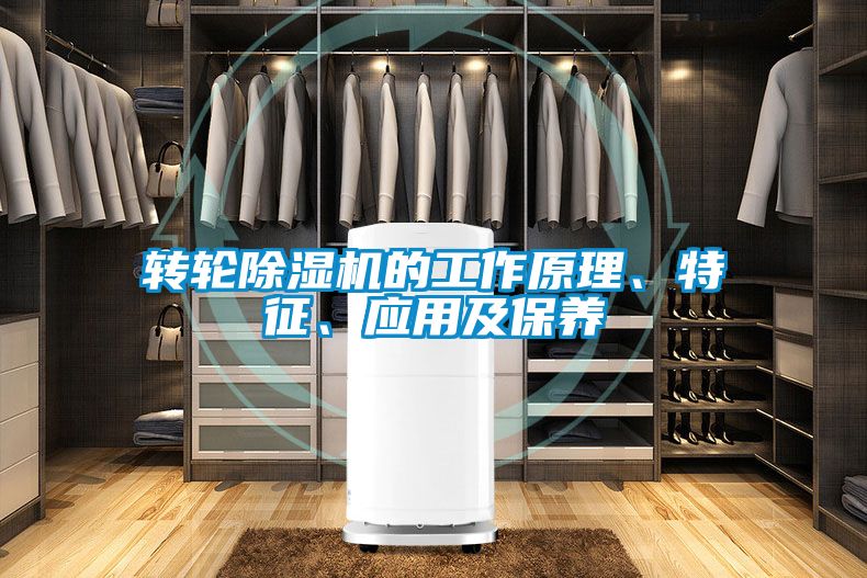轉輪除濕機的工作原理、特征、應用及保養