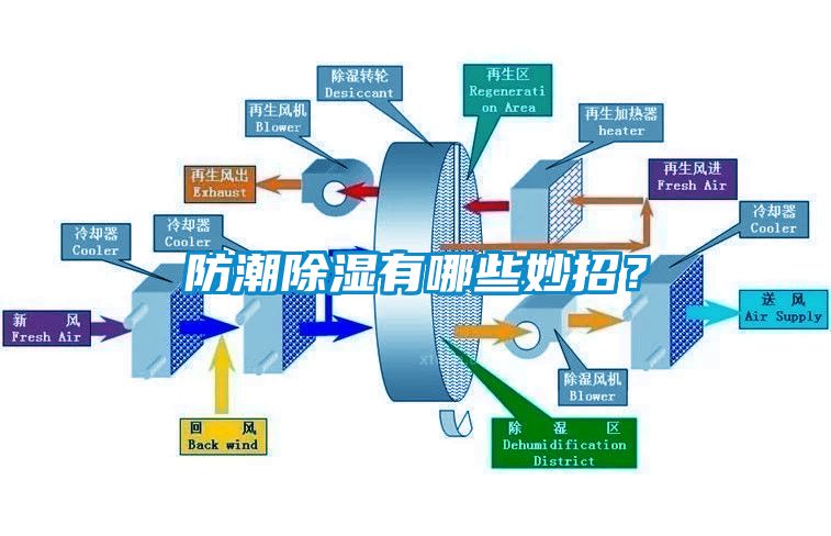 防潮除濕有哪些妙招？