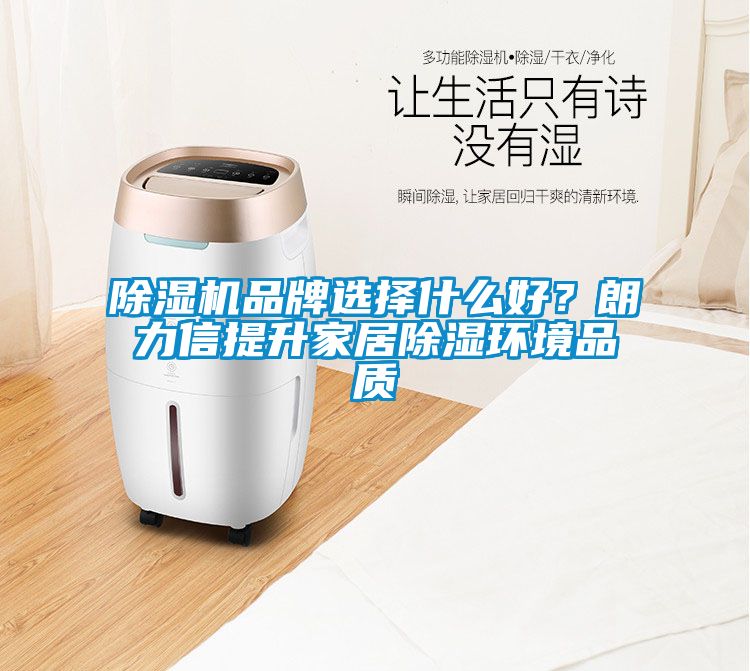 除濕機品牌選擇什么好？朗力信提升家居除濕環境品質