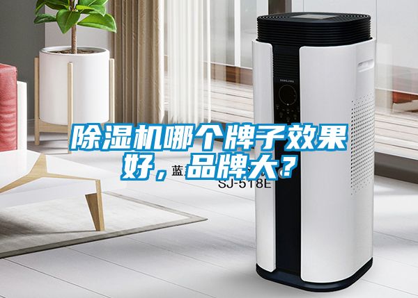 除濕機(jī)哪個牌子效果好，品牌大？