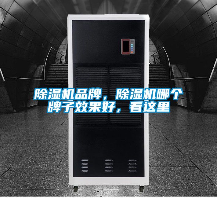 除濕機品牌，除濕機哪個牌子效果好，看這里