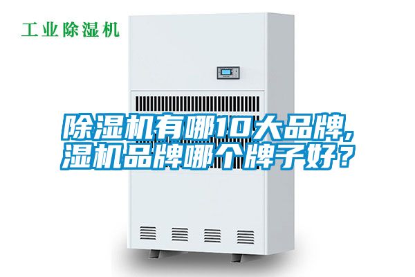 除濕機(jī)有哪10大品牌,濕機(jī)品牌哪個(gè)牌子好？