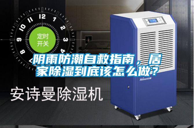 陰雨防潮自救指南，居家除濕到底該怎么做？