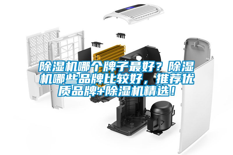 除濕機(jī)哪個牌子最好？除濕機(jī)哪些品牌比較好，推薦優(yōu)質(zhì)品牌+除濕機(jī)精選！