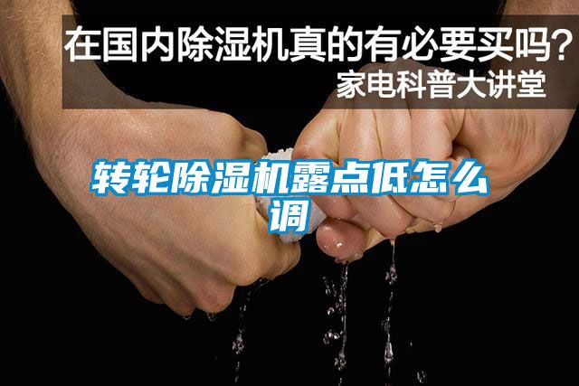 轉輪除濕機露點低怎么調(diào)