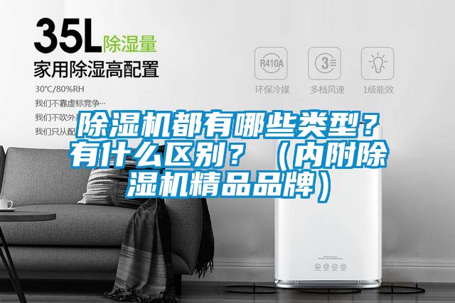 除濕機都有哪些類型？有什么區(qū)別？（內附除濕機精品品牌）